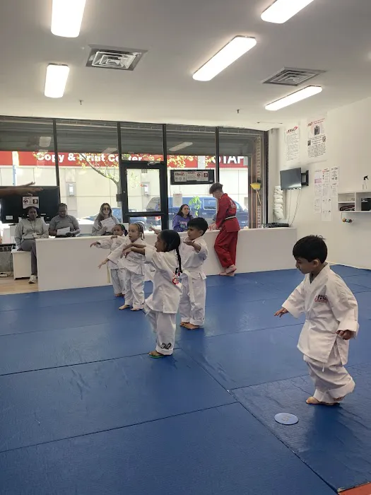 Full Element Martial Arts Picture 10