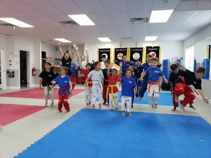 Tiger Kim's Taekwondo Center Picture 1