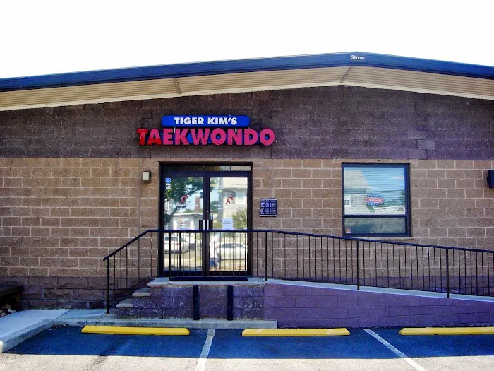Tiger Kim's Taekwondo Center Picture 4