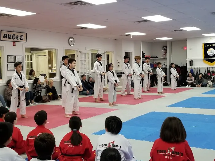 Tiger Kim's Taekwondo Center Picture 10