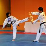 Yong In Elite Taekwondo