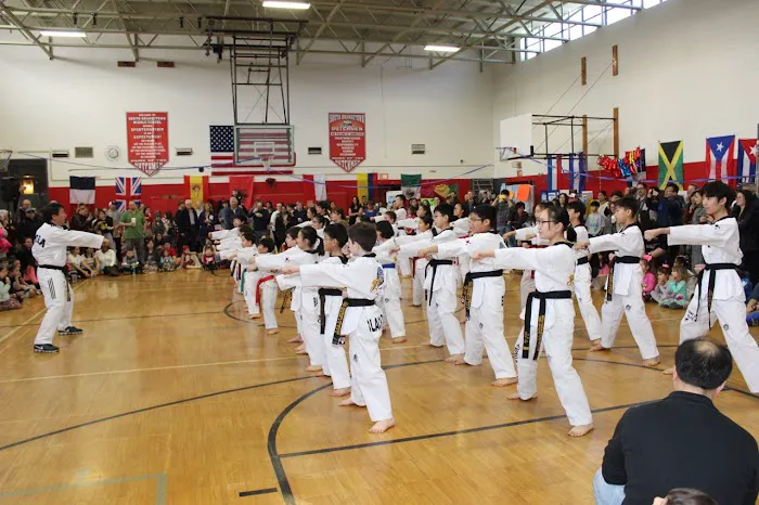 Yong In Elite Taekwondo Picture 4
