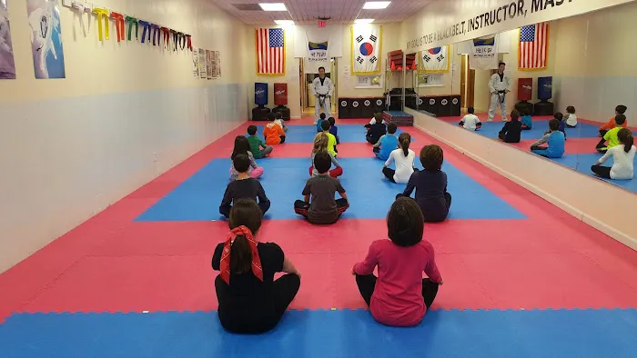 OLD TAPPAN MARTIAL ARTS Picture 2