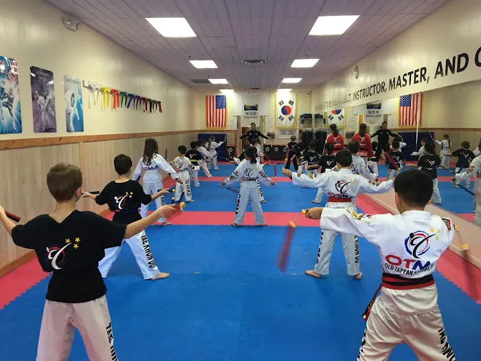 OLD TAPPAN MARTIAL ARTS Picture 3