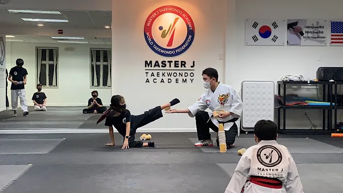 Master J Taekwondo Academy Picture 3