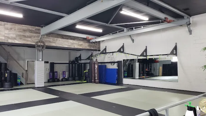 DP Martial Arts & Krav Maga Academy Picture 6