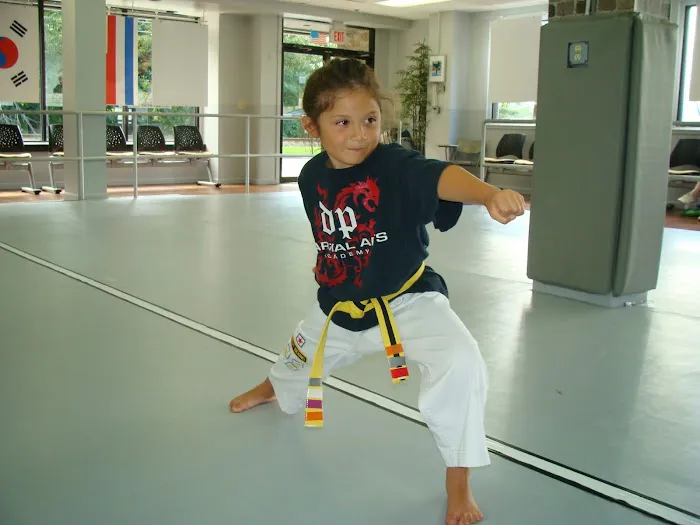 DP Martial Arts & Krav Maga Academy Picture 10