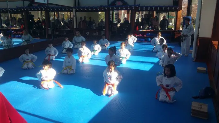 United Taekwondo Hohokus, Ridgewood Picture 7