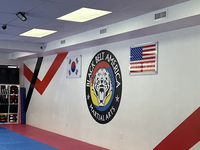 United Black Belt Academy Midland Park Picture 2