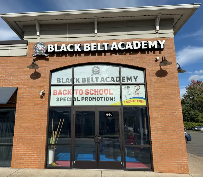 United Black Belt Academy Midland Park Picture 10