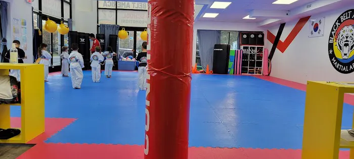 United Black Belt Academy Midland Park Picture 7