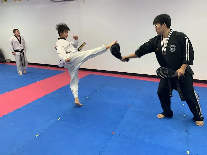 Master Cha's Summit Martial Arts Tae Kwon Do Picture 2