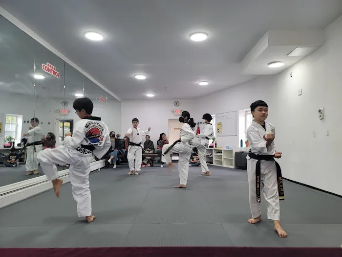 Master Cha's Summit Martial Arts Tae Kwon Do Picture 4