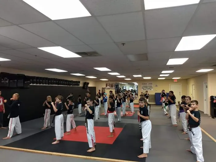 Training4Life Martial Arts Academy Picture 1