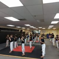 Training4Life Martial Arts Academy ico