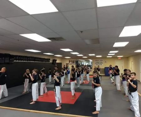 Training4Life Martial Arts Academy