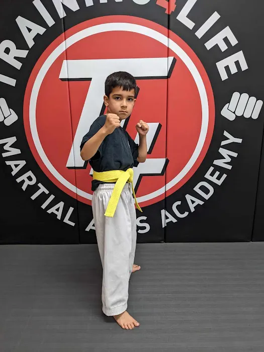 Training4Life Martial Arts Academy Picture 5