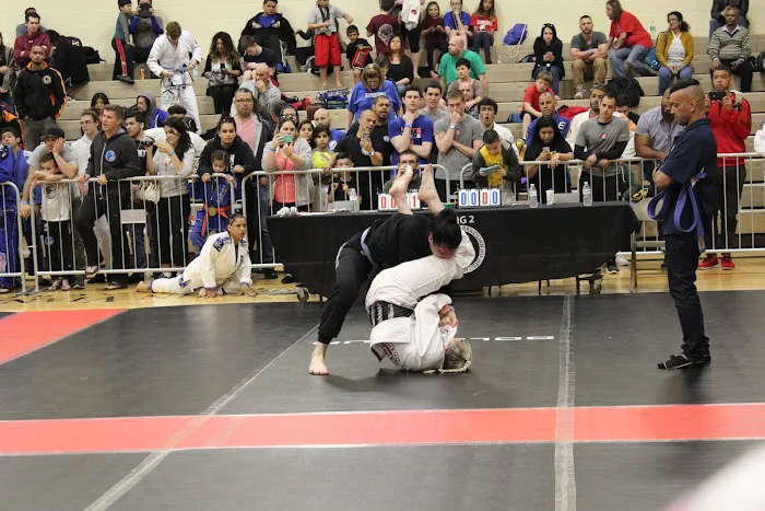 Training4Life Martial Arts Academy Picture 4