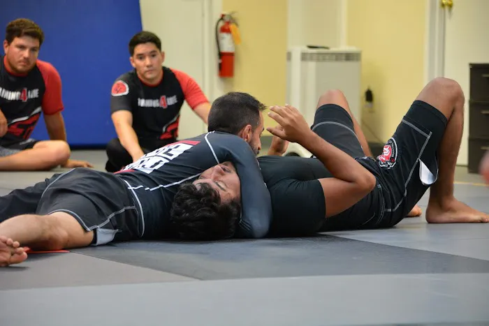 Training4Life Martial Arts Academy Picture 7