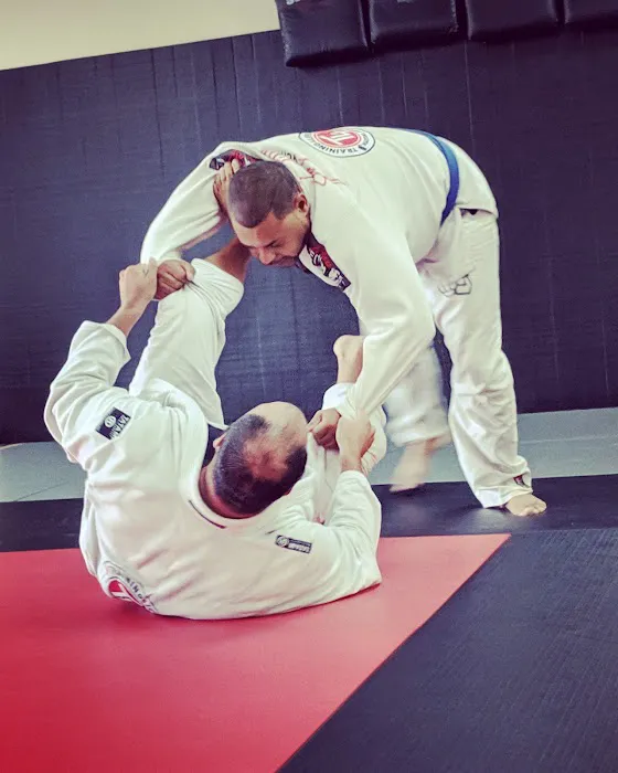 Training4Life Martial Arts Academy Picture 8