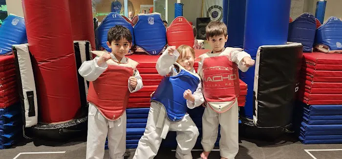 All Star Taekwondo & Fitness Picture 8