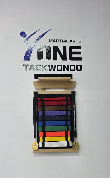 ONE Taekwondo Martial Arts Picture 3