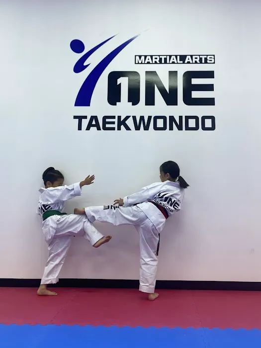 ONE Taekwondo Martial Arts Picture 7