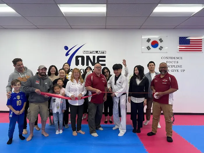 ONE Taekwondo Martial Arts Picture 10