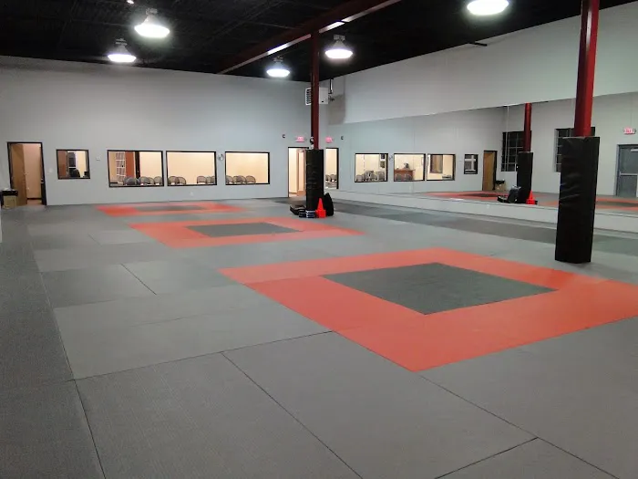 United Black Belt Academy Allendale Picture 4