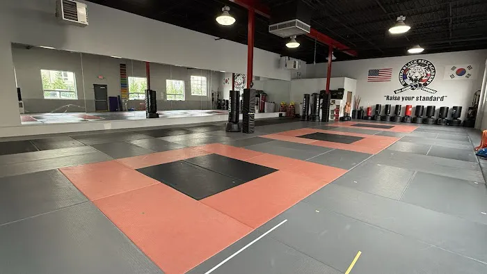 United Black Belt Academy Allendale Picture 8