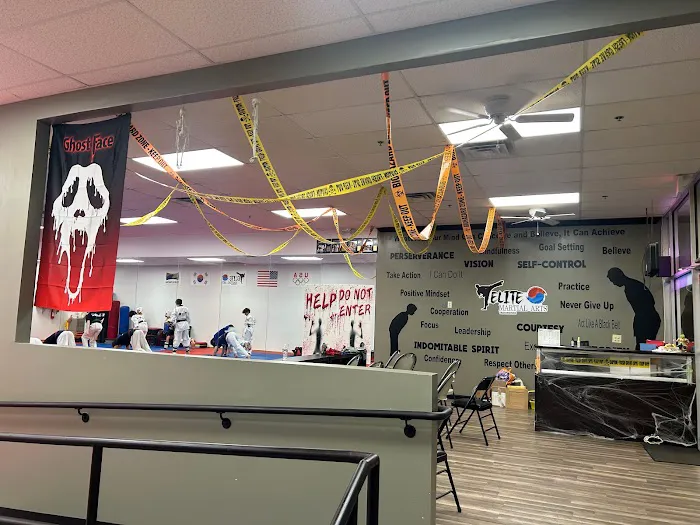 Elite Martial Arts - Taekwondo Picture 5