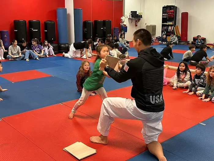 Elite Martial Arts - Taekwondo Picture 7