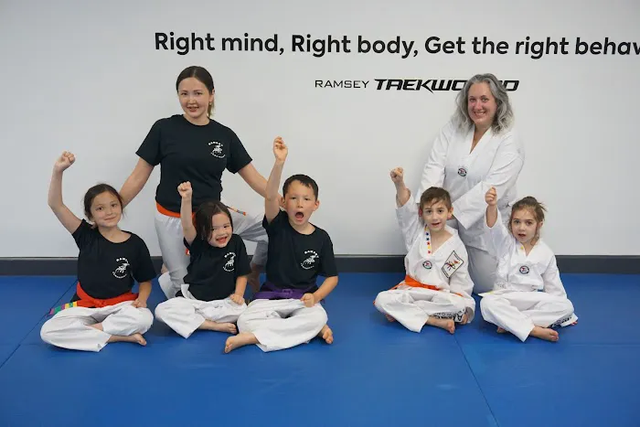 Ramsey TaeKwonDo Martial Arts (One Taekwondo) Picture 3