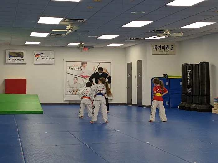 Ramsey TaeKwonDo Martial Arts (One Taekwondo) Picture 1