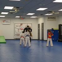 Ramsey TaeKwonDo Martial Arts (One Taekwondo) ico
