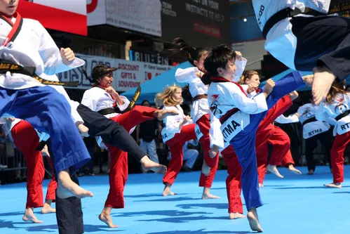 Ramsey TaeKwonDo Martial Arts (One Taekwondo) Picture 10