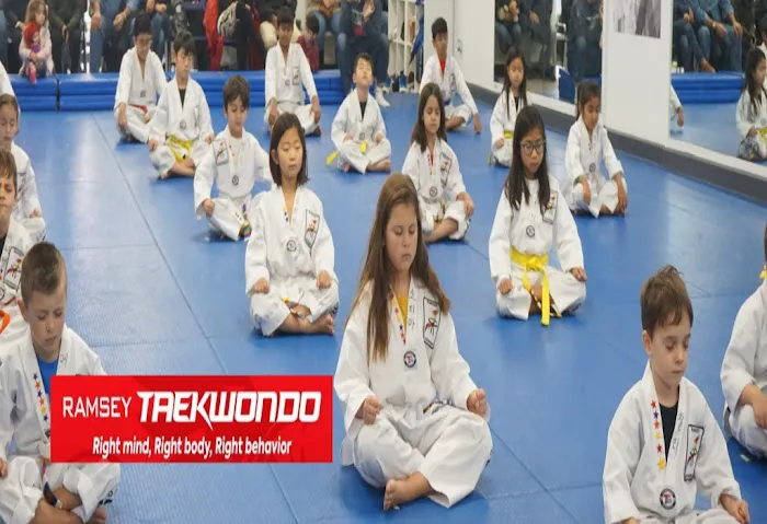 Ramsey TaeKwonDo Martial Arts (One Taekwondo) Picture 7
