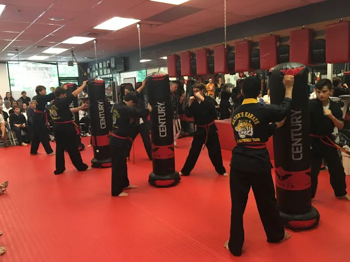 Mayer's Karate & Fitness Picture 4