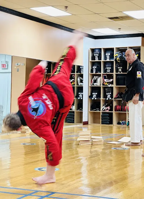 Park's Champions Taekwondo Picture 5