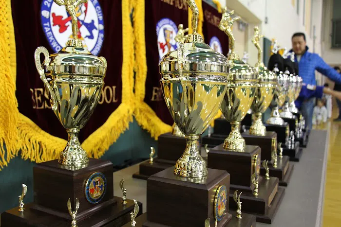 JiHo Choi TKD Institute Picture 2