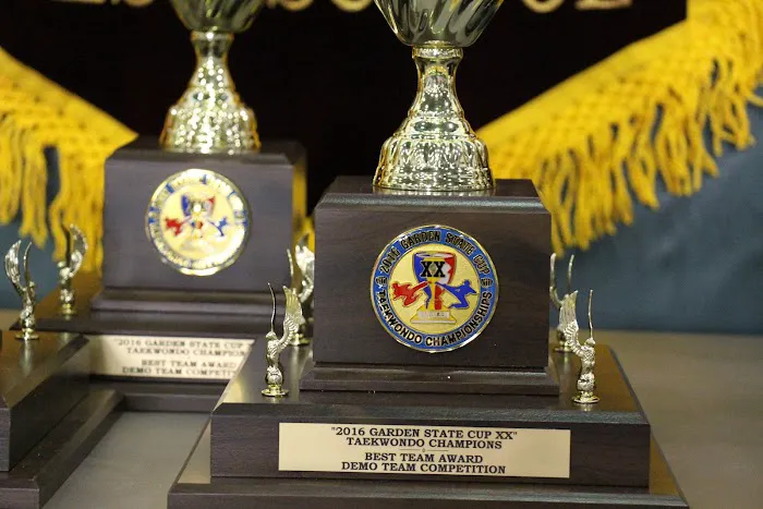 JiHo Choi TKD Institute Picture 1