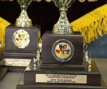JiHo Choi TKD Institute