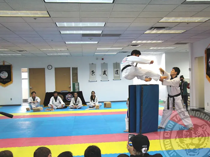 JiHo Choi TKD Institute Picture 10
