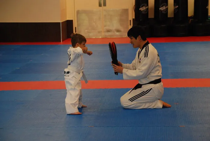 Top Mixed Martial Arts Picture 2