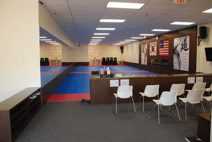 Top Mixed Martial Arts Picture 5