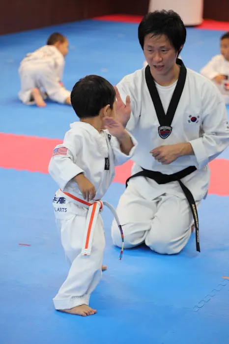 Top Mixed Martial Arts Picture 9