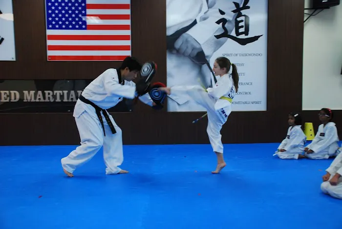 Top Mixed Martial Arts Picture 4