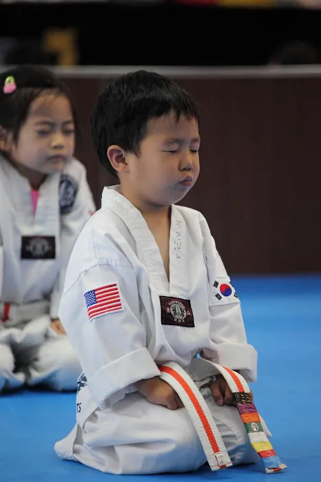 Top Mixed Martial Arts Picture 7