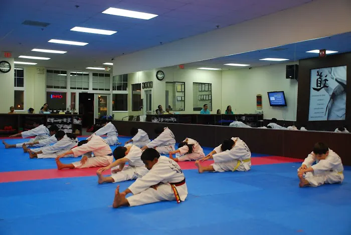 Top Mixed Martial Arts Picture 8