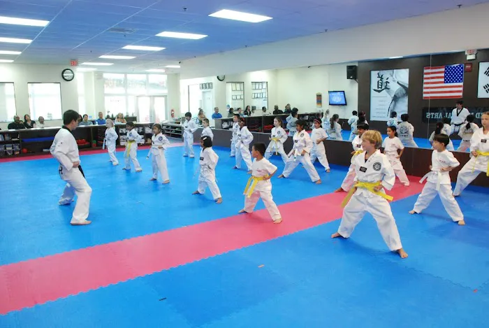 Top Mixed Martial Arts Picture 6